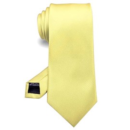 RBOCOTT Silk Light Yellow Tie Business Wedding Formal Necktie for Men (68)
