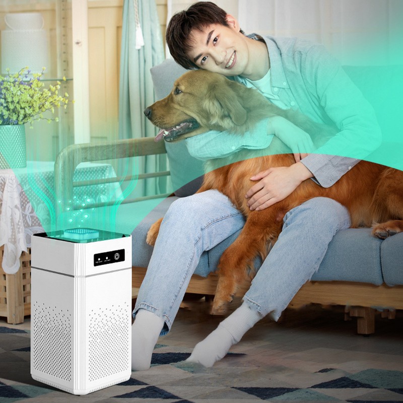 Home Air Purifier Negative Ionic Purification Odor Removal Multi Functional