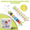 Sirecal Baby Musical Toy - Baby Sensory Toys 0-6 Months