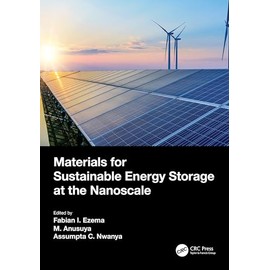 Materials for Sustainable Energy Storage at the Nanoscale