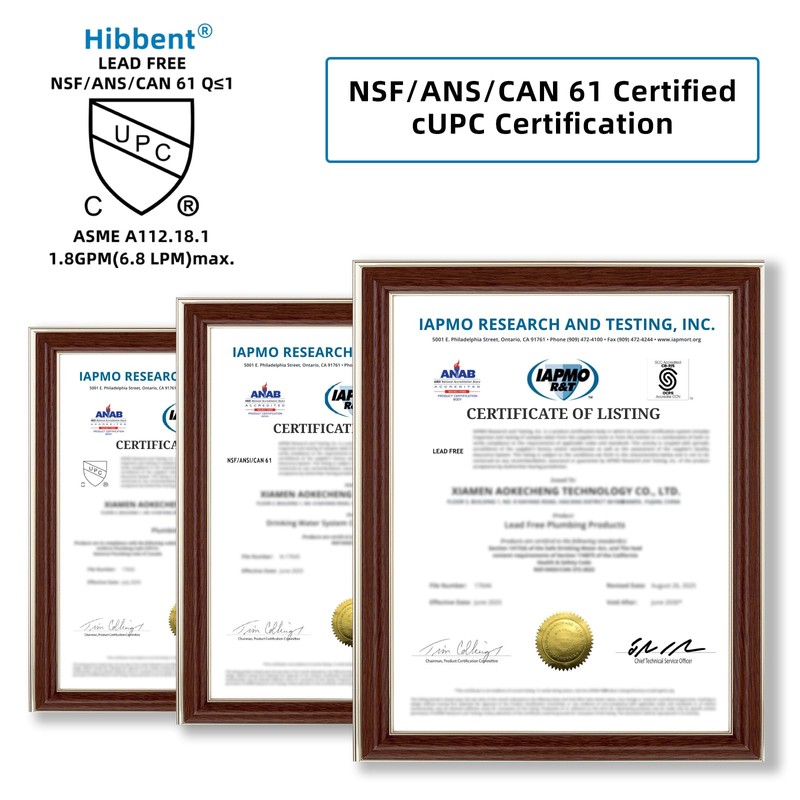 Hibbent Pull Down Spray Head for Kitchen Faucet, NSF/ANSI/CAN 61