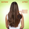 Garnier Fructis Sleek & Shine Shampoo, Frizzy, Dry, Unmanageable Hair,