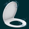 R&T Toilet Seat Round B1099, Heavy-Duty up to 440 lbs,