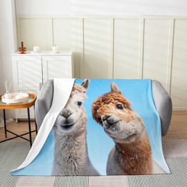 Linda manta de franela de forro polar de llama, tamaño Queen de 90 x 90 pulgadas, manta de cama de animales de alpaca para todas las estaciones para sofá, sofá, sofá o sofá con temática de animales 3D, manta mullida de felpa de cielo azul suave, decoraci