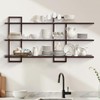 PHOENANCEE 3 Tier Wall Shelves,Decorative Floating Shelf for Wall,Plants Photo
