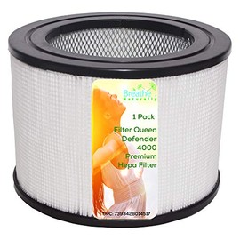 Breathe Naturally Replacement Hepa Filter for Filter Queen Defender 4000 Series Air Purifiers (1 Pack)