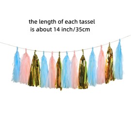 Autupy 15 PCS Gender Reveal Tassel Garland Wall Hanging Colorful Tassel Banner,Table Decor for Birthday,Bridal/Baby Shower,Anniversary,DIY Kits