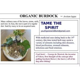 Tame the Spirit Burdock Root, (Arctium Lappa) Cut Dried Root, Appalachian Mountains Wild Harvest - 2 Ounce