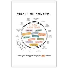 Circle Of Control Poster What I Can And Cannot Control Therapy Office Decor Kids Mental Health Poster Calm Down Corner School Counselor Supplies 12 x 16 in Unframed