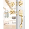 EHOMEWARE 1 Pack Gold Entry Door Handles, Front Door Knobs