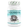 Molybdenum, 150 mcg, 365 tablets for one year, pure sodium