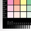 The CMYK Greyscale Card for Designers and Reprographics