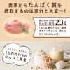 LOHAStyle(ロハスタイル) サッと混ざる ソイプロテイン500g 人工甘味料不使用 大豆プロテイン きなこ ハイグレード 遺伝子組み換え混入防止管理済 甘味料・着色料・保存剤・香料不使用