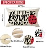 Ogiselestyle Valentine Little Love Bug Ladybug Throw Pillow Cover, 12