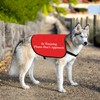 HOLLP Training Dog Jacket Vest in Training Please Don't Approach