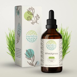 HerbEra Wheatgrass Alcohol-FREE Tincture Organic (Triticum aestivum) - 4 fl oz