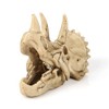 VOANZO Resin Triceratops Skull Model Replica, Dinosaur Tooth Skull Fossil,