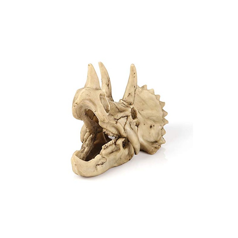 VOANZO Resin Triceratops Skull Model Replica, Dinosaur Tooth Skull Fossil,