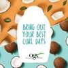 OGX Quenching Plus Coconut Curls Styling Products