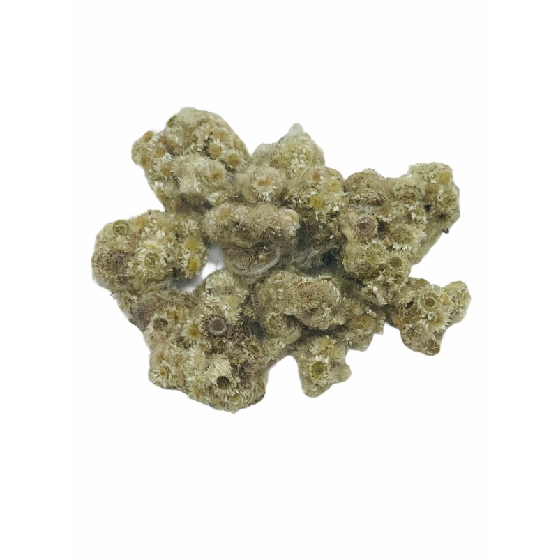 Mullein Dried Whole Flowers - Gordolobo