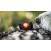 Orbiloc Dual Flashing/Solid Safety LED Light for Dogs - High