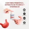 Probiotic Fit 30 Capsulas Avanzada Fórmula de Probióticos y Prebióticos