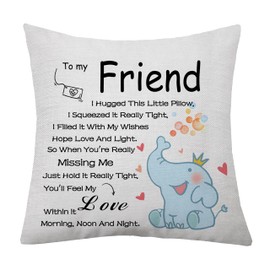 aligarian Friend Gifts for Women Girls Bestie Friendship Cushion Cover Thanks Inspirational Throw Pillow Cover Pillowcase Christmas Birthday Gifts (Friend)