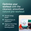 Natural Pre-Workout Supplement for Energy, Focus & Stamina | Organic