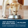 Purina ONE Plus Large Breed Adult Dog Food Dry Formula,