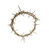Crown of Thorns from The Holy Land 7"