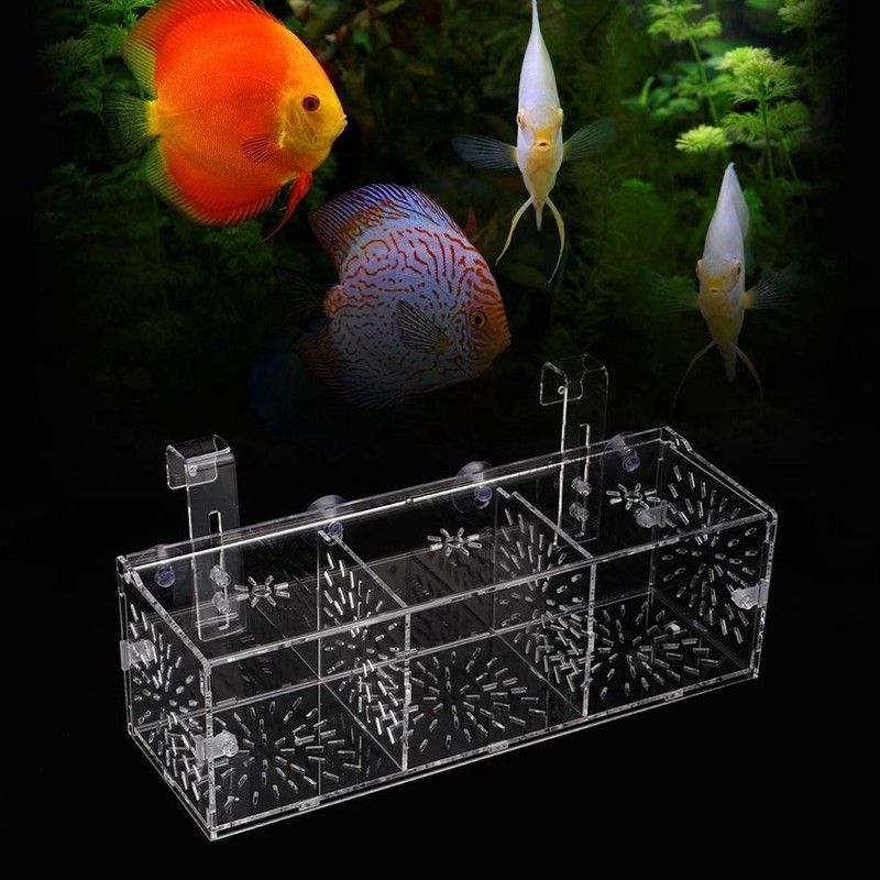 Aquarium Fish Breeder Box, Baby Fish & Shrimp Incubator (30CM*10CM*10CM)