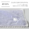 Wedgwood 260510-5202-02 Towel Handkerchief, blue