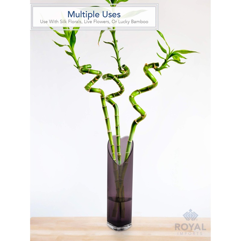 Royal Imports Flower Glass Vase Decorative Centerpiece for Home or