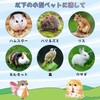 Hamster Bait Dish for Small Animals, Set of 2, Ceramic