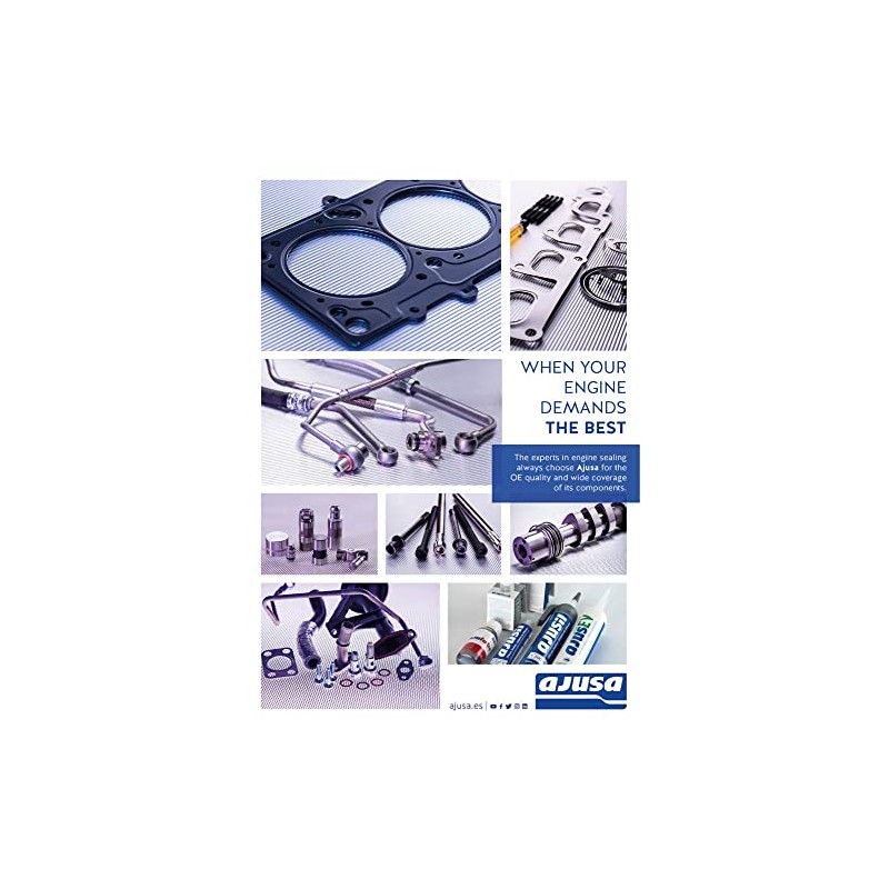 Ajusa 01061600 Seal for Pump