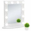 SEGAWE Hollywood Makeup Vanity Mirror LED Light Wall Mounted with