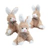 Fun Express Scruffy Brown Bunnies for Easter - 12 Plush