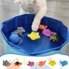 LUPAPA Cat Pool Toy with 6 Fish, Cat Water Toy