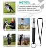 Dog Whistle, 2-Pack Professional Ultrasonic Dog Whistle to Stop Barking,