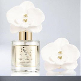 Reed Diffuser Set, Pretty Valley Home Diffuser Gypsum White Orchid Flower Oil 120Ml / 4.05fl OZ Gift Box for Bathroom Office Bathroom Living Room Decor, Long Lasting Fragrance (White Orchid)