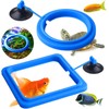 Fish Feeding Ring, 2 Pieces Fish Feeder Aquarium Turtle Tank