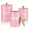 Blushtier 3 Pack Pink Kitchen Canister Set Metal Tea Coffee