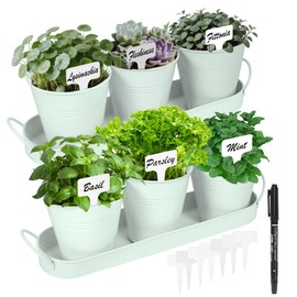 Wacloud Herb Garden Planter Indoor Kit – 6 Metal Pots with 2 Trays for Windowsill & Kitchen Counter – Modern Decorative Indoor Planters for Herbs, Succulents & Small Plants, Mint