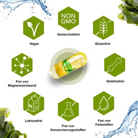 Luondu Omega 3 Vegan capsules, 1100 mg, 60 pieces with premium Omega 3 fatty acids from algae oil, 600 DHA + 300 EPA per daily dose, 100% plant-based