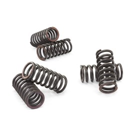 EBC Clutch Spring Kit CSK029