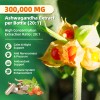 Beworths Super Cortisol Supplement Magnesium Ashwagandha L-theanine,Rel