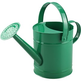 Finderomend Watering Can, Metal Watering Can 1.5L/51oz, Watering Can for Outdoor Plants, Iron Art for Watering Bucket Home Office Small Portable Indoor Watering Equipment (Green)