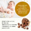 Osaka Choseido Hagodo, Cute, Stylish, Compact, With Stand, Name Insert,
