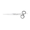 Jaguar White Line Hair Scissors Timeless – 6 '