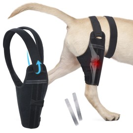 Dog Knee Brace for Back Leg Fit Large Middle Small Dogs Strong Support Adjustable Dog Leg Braces with 2 Metal Strips for Hip Dysplasia, ACL, CCL, Ligament Injuries & Osteoarthritis (Left Leg, S)